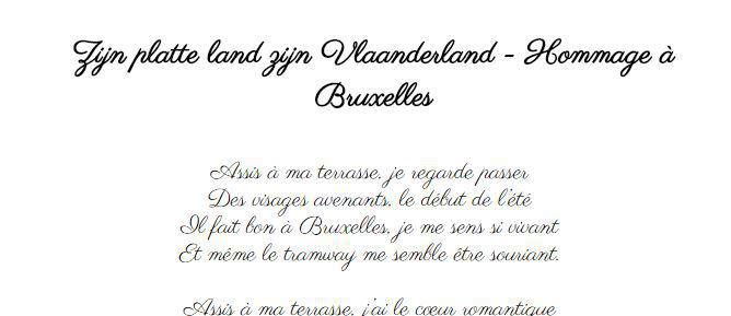 Zijn platte land zijn Vlaanderland - Hommage à Bruxelles