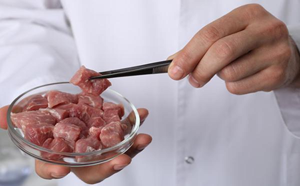 Singapour déclare halal la viande cultivée en laboratoire
