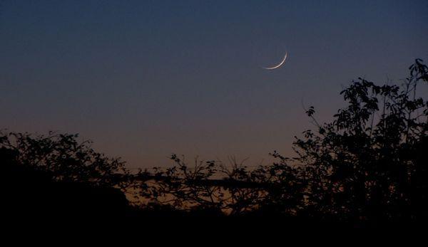 Fin du Ramadan 2025 : quels pays musulmans ont fixé l'Aïd el-Fitr pour lundi 31 mars ?