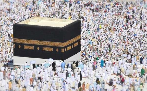 Hajj 2025 : le bilan d'une saison moins dramatique