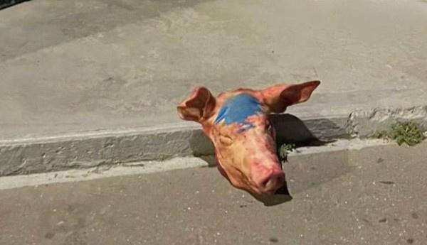 Islamophobie : après les têtes de cochon devant des mosquées, la piste de l'ingérence étrangère sur la table
