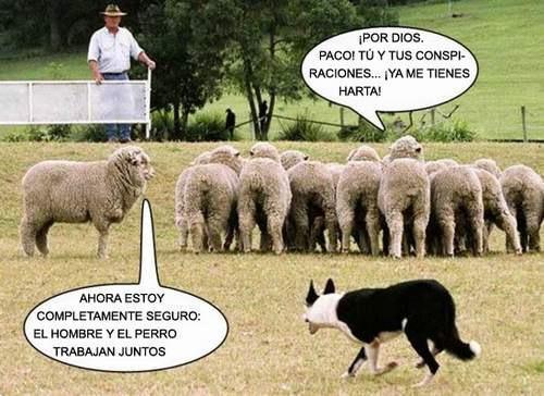 HAY PSICÓPATAS PEORES QUE LOS POLITICOS