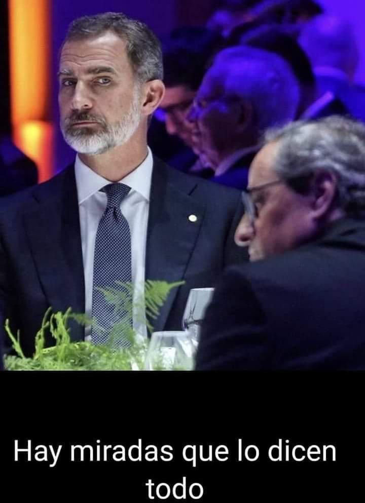 La mirada estremecedora del Rey al desleal Quim Torra, resumen de la situación de peligro que atraviesa España