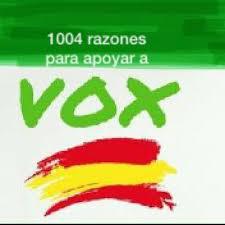 Hay muchas razones para votar a VOX, muchas