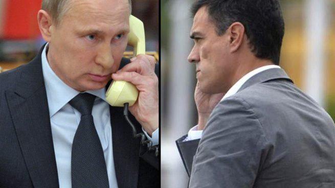 Putin desprecia a Pedro Sánchez