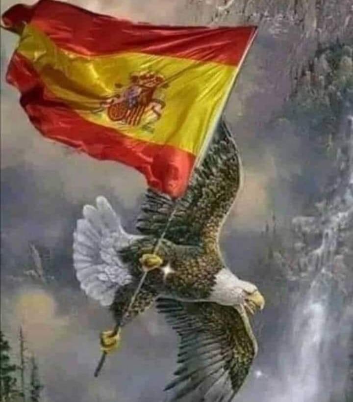 Ha llegado la hora de la verdad y de saber en qué trinchera está cada español