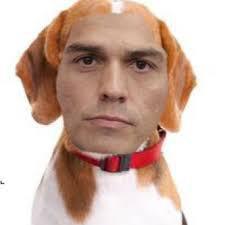 Una de las miles de imágenes que circulan por las redes señalando al presidente Sánchez como "Perro Sánchez"
