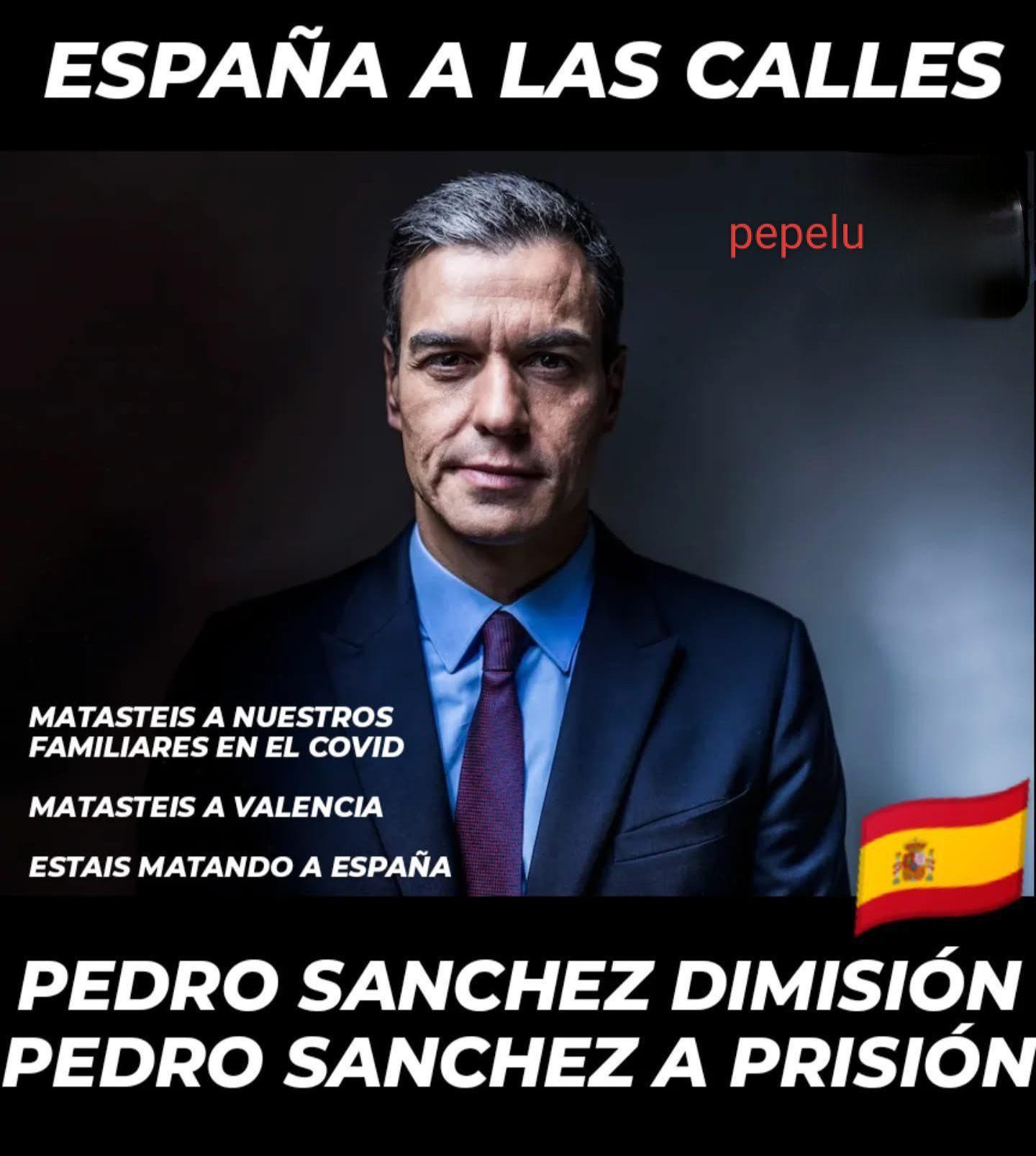 Una de las miles de imágenes que circulan por el ciberespacio acusando a Pedro Sánchez de graves delitos contra España, sus ciudadanos y sus leyes.