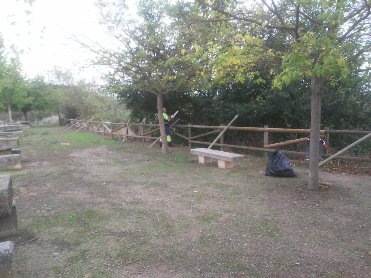 🌳👷🏽‍♂️ RESTAURANDO LOS BARROTES ROTOS DEL CAMINO DE LEGARDA 👷🏼‍♂️🌳