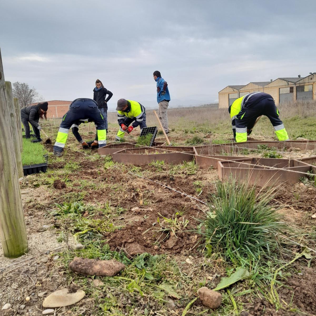 🐦🌳 AVANCES EN EL CAMINO DE LEGARDA 🌳🐦 🐦🌳 AVANCES EN EL CAMINO DE LEGARDA 🌳🐦
