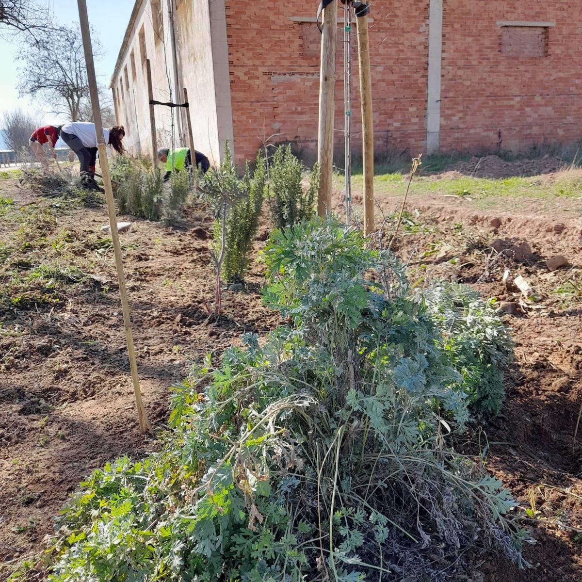 🐦🌳 AVANCES EN EL CAMINO DE LEGARDA 🌳🐦 🐦🌳 AVANCES EN EL CAMINO DE LEGARDA 🌳🐦