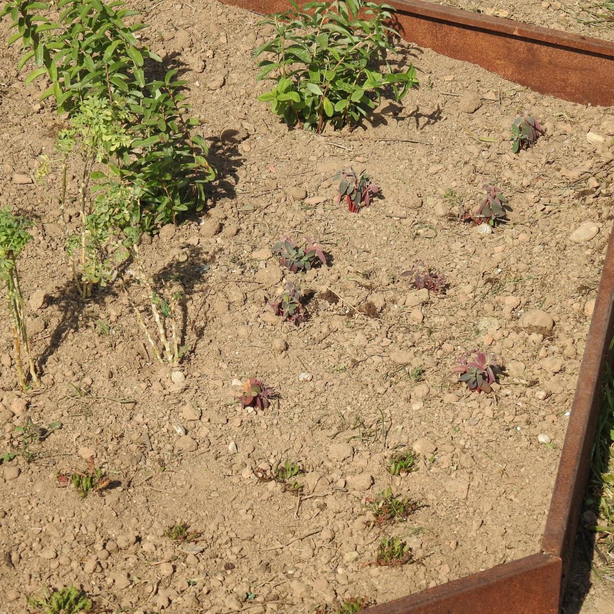 🐦🌳 AVANCES EN EL CAMINO DE LEGARDA 🌳🐦 🐦🌳 AVANCES EN EL CAMINO DE LEGARDA 🌳🐦