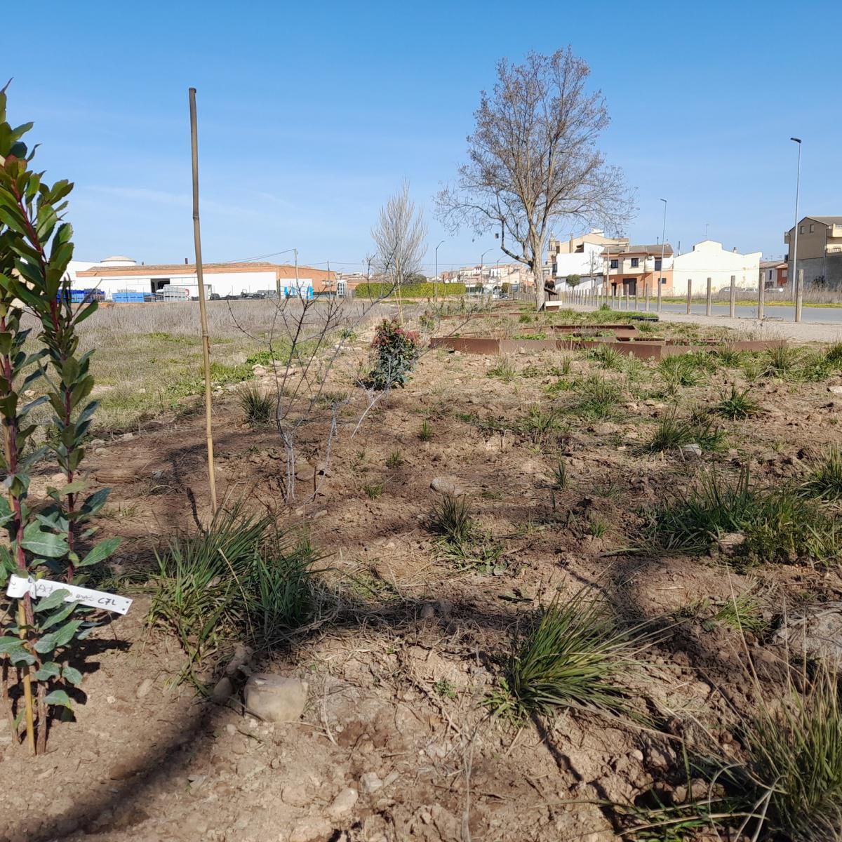 🐦🌳 AVANCES EN EL CAMINO DE LEGARDA 🌳🐦 🐦🌳 AVANCES EN EL CAMINO DE LEGARDA 🌳🐦