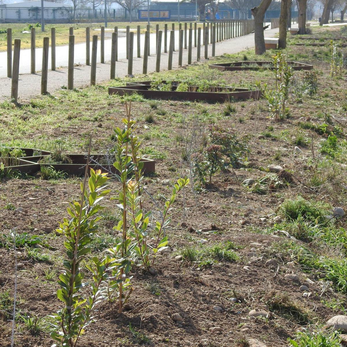 🐦🌳 AVANCES EN EL CAMINO DE LEGARDA 🌳🐦 🐦🌳 AVANCES EN EL CAMINO DE LEGARDA 🌳🐦