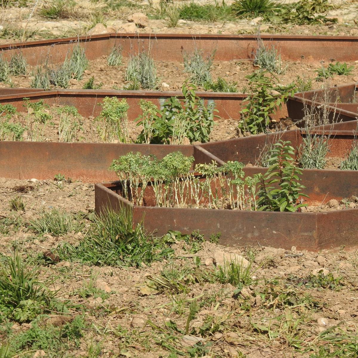 🐦🌳 AVANCES EN EL CAMINO DE LEGARDA 🌳🐦 🐦🌳 AVANCES EN EL CAMINO DE LEGARDA 🌳🐦