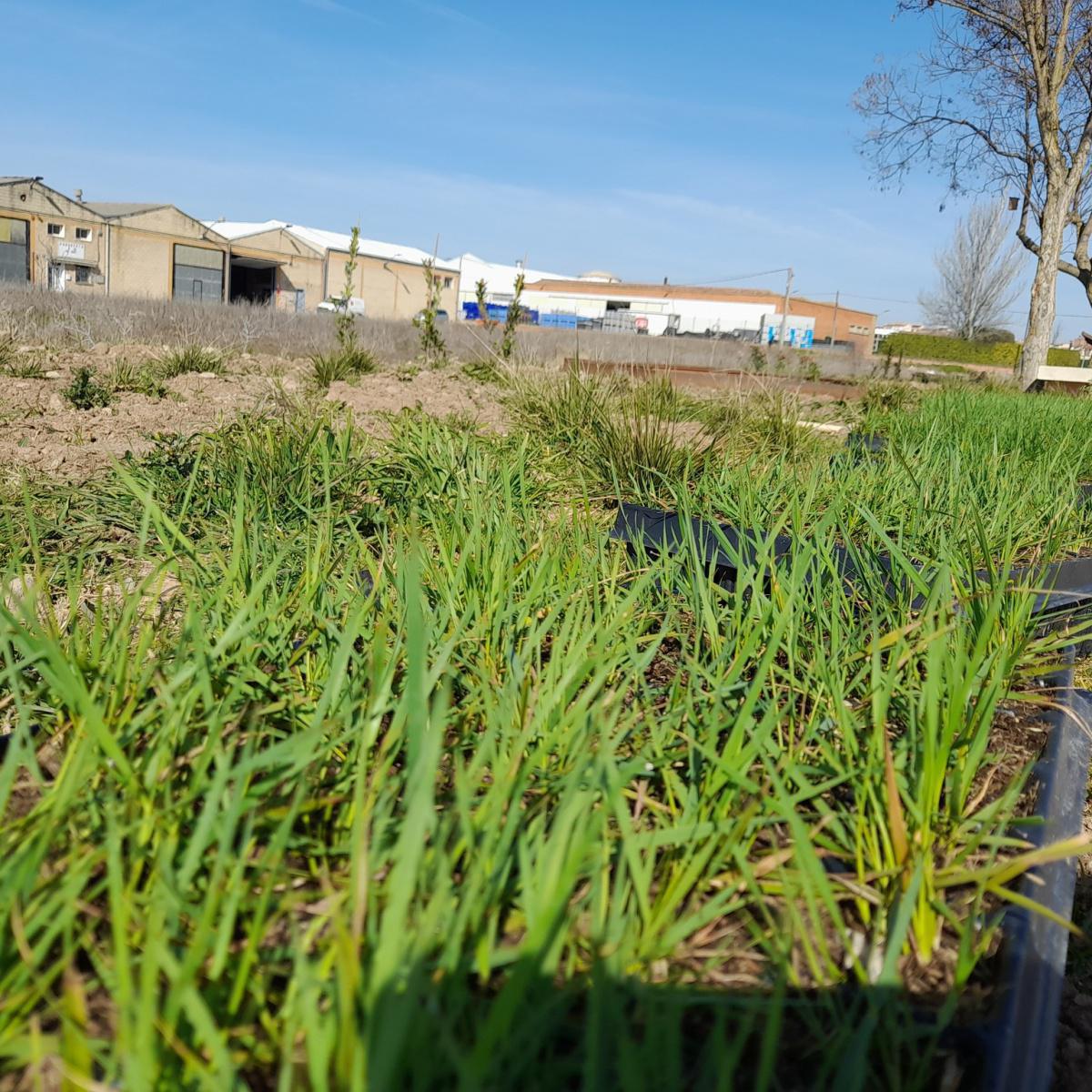 🐦🌳 AVANCES EN EL CAMINO DE LEGARDA 🌳🐦 🐦🌳 AVANCES EN EL CAMINO DE LEGARDA 🌳🐦