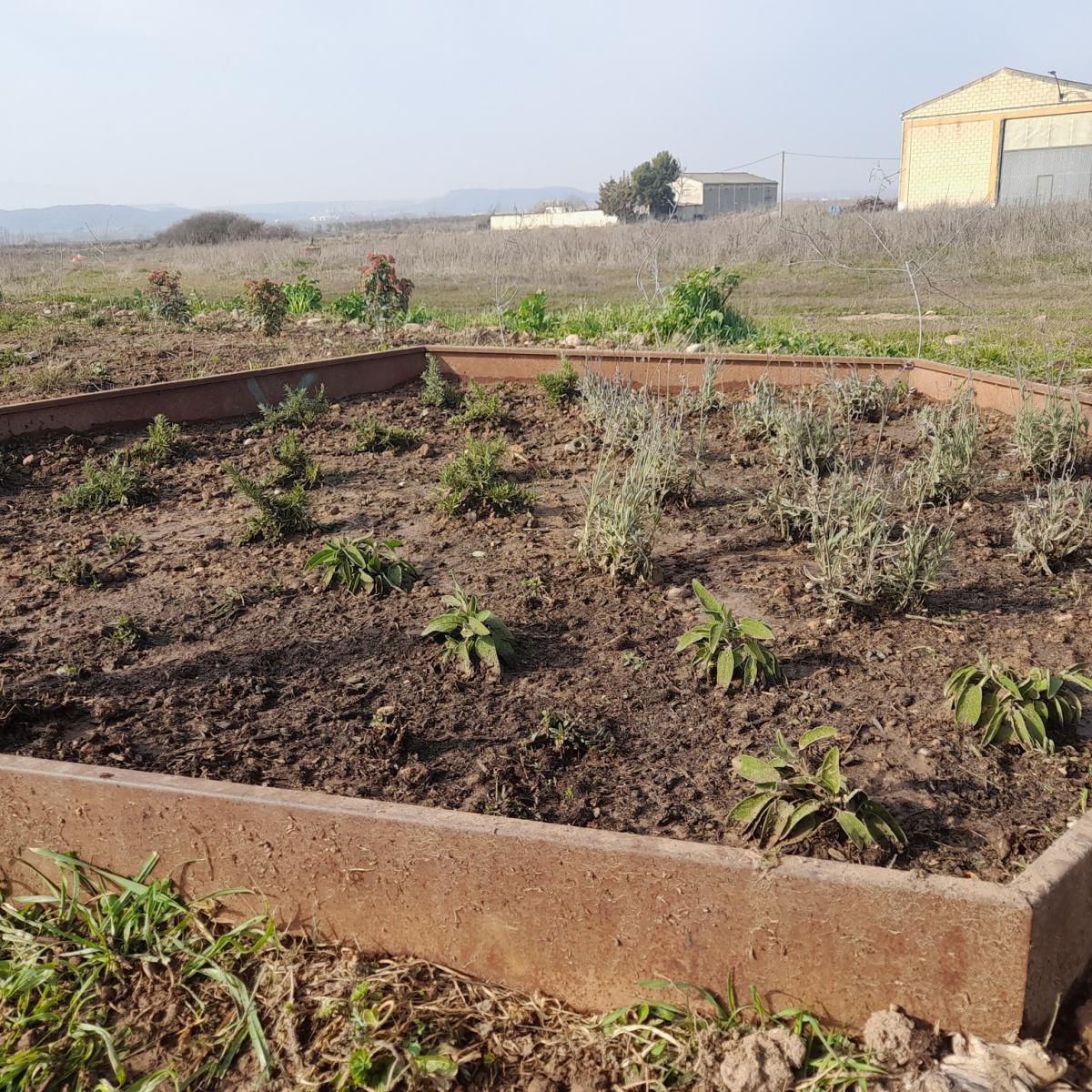 🐦🌳 AVANCES EN EL CAMINO DE LEGARDA 🌳🐦 🐦🌳 AVANCES EN EL CAMINO DE LEGARDA 🌳🐦