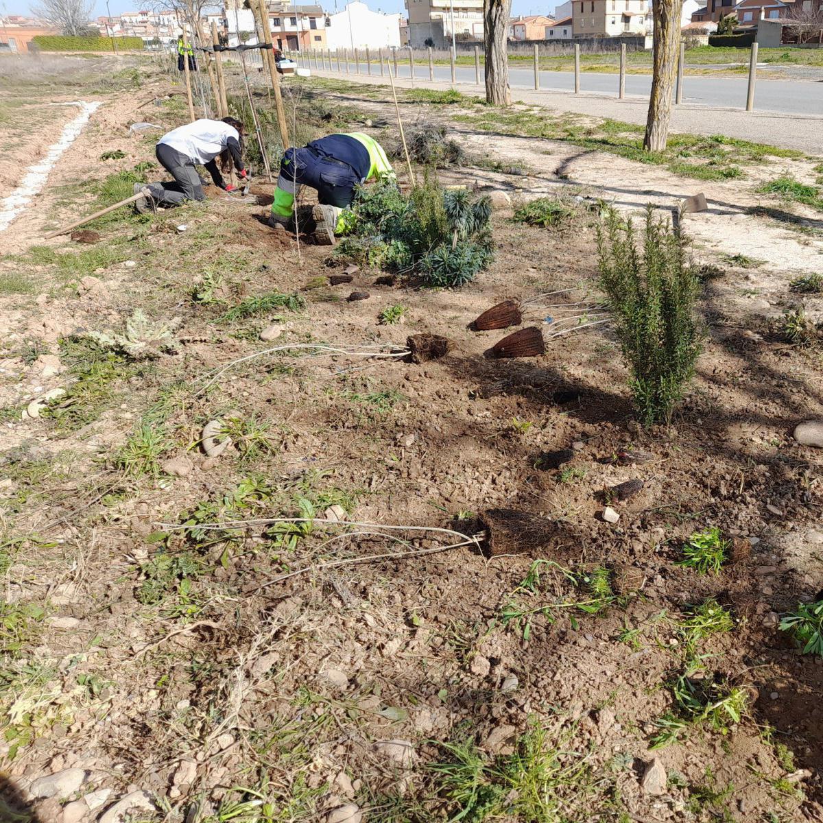 🐦🌳 AVANCES EN EL CAMINO DE LEGARDA 🌳🐦 🐦🌳 AVANCES EN EL CAMINO DE LEGARDA 🌳🐦