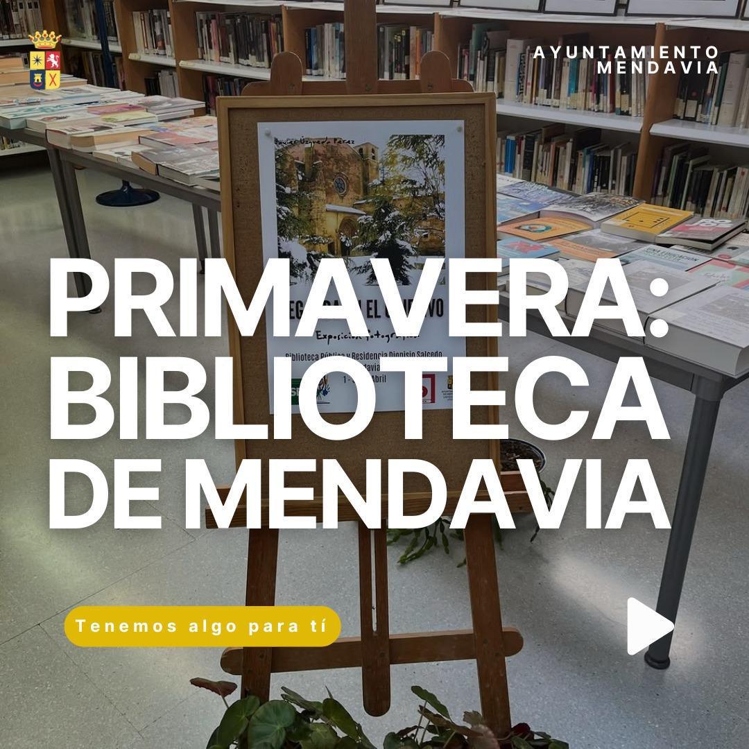 📚 ENTORNO AL DÍA DEL LIBRO 📚