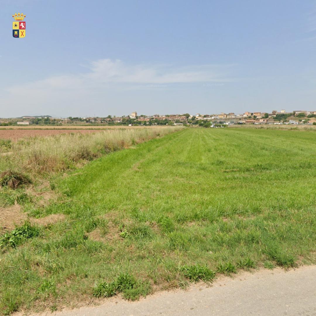 🌿 CUIDARSE TAMBIÉN ES DISFRUTAR DEL VERANO