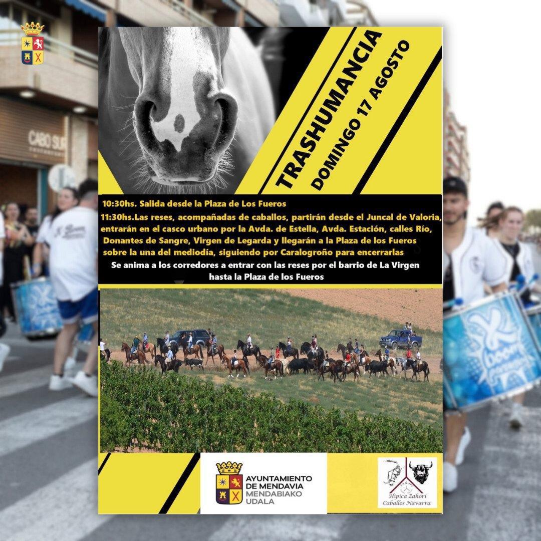 🎉 FIN DE SEMANA DE RITMO, TRADICIÓN Y MÚSICA EN MENDAVIA 🎶🐂🥁