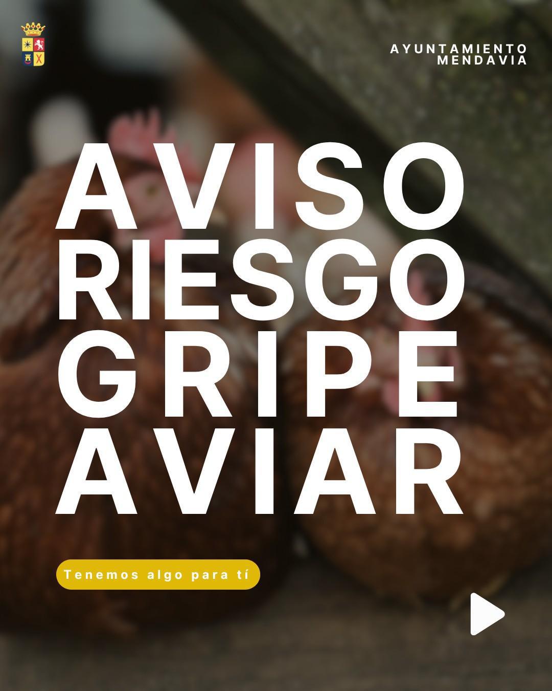 🚨🐔 AVISO IMPORTANTE: MEDIDAS RIESGO GRIPE AVIAR 🐦🚨