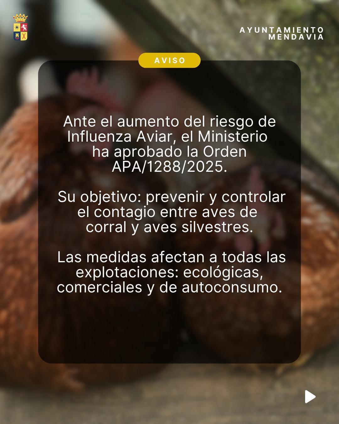 🚨🐔 AVISO IMPORTANTE: MEDIDAS RIESGO GRIPE AVIAR 🐦🚨
