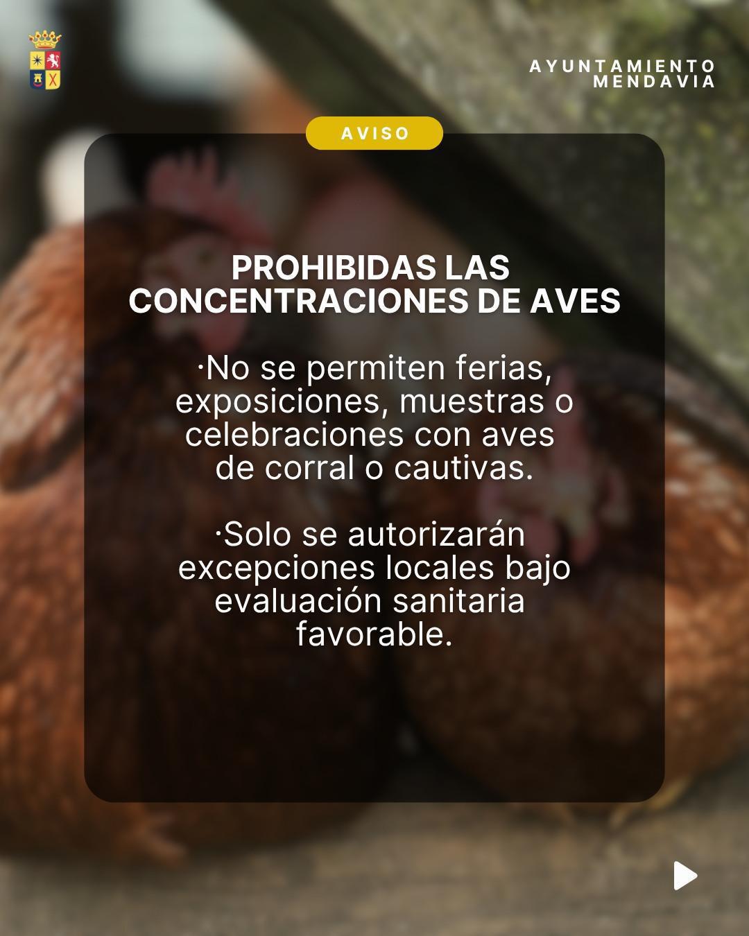 🚨🐔 AVISO IMPORTANTE: MEDIDAS RIESGO GRIPE AVIAR 🐦🚨