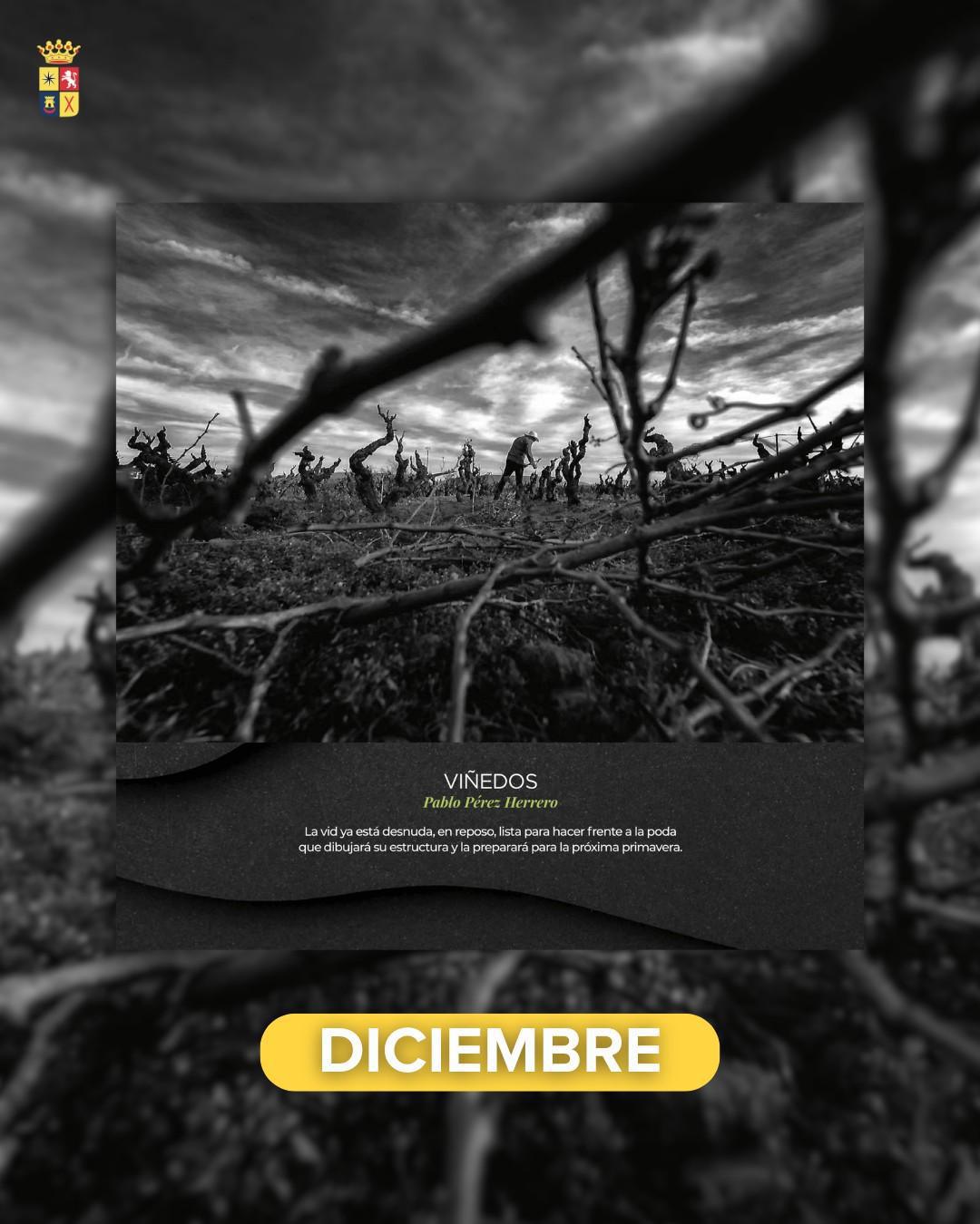 📆✨ CALENDARIO MENDAVIA 2026 📆✨