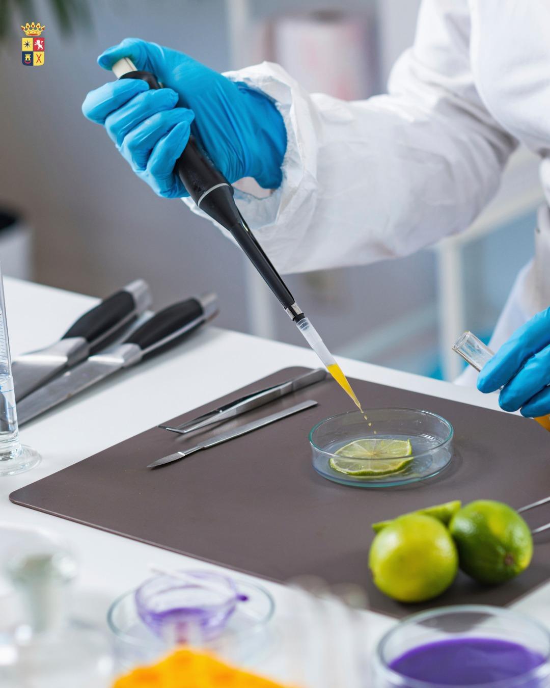 💼🔴 2 OFERTAS DE EMPLEO NUEVOS 💼🔴