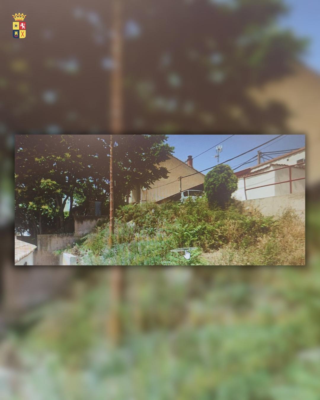 📋🚧 PLAN DE DESBROCE: MEJORANDO RINCONES Y SU SEGURIDAD 🌿