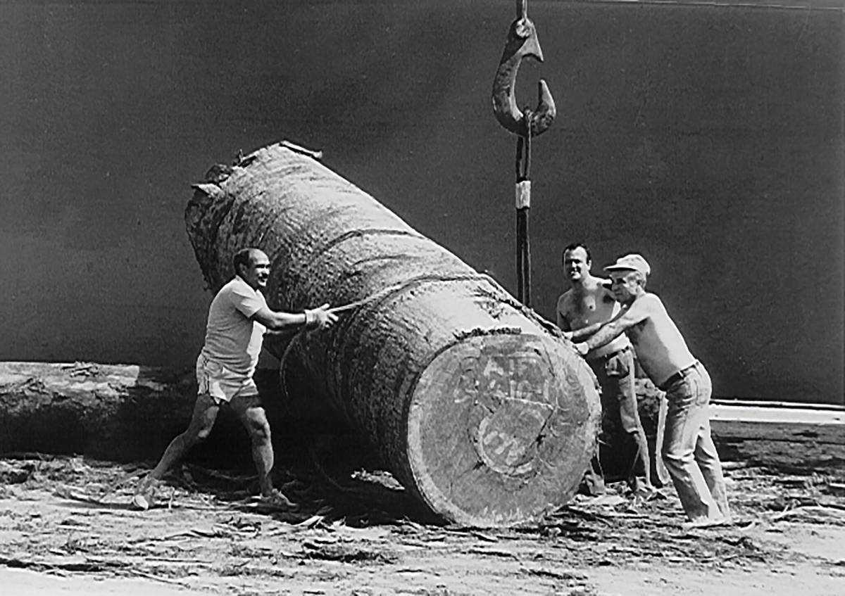 “Pocos trabajos livianos había en los 70, lo peor eran los sacos y los troncos” “Pocos trabajos livianos había en los 70, lo peor eran los sacos y los troncos”