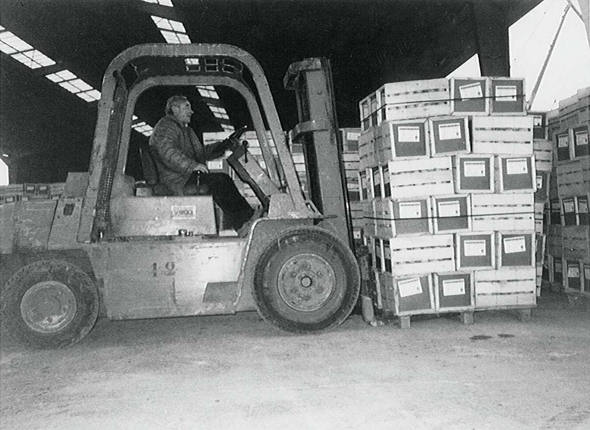 “Pocos trabajos livianos había en los 70, lo peor eran los sacos y los troncos” “Pocos trabajos livianos había en los 70, lo peor eran los sacos y los troncos”