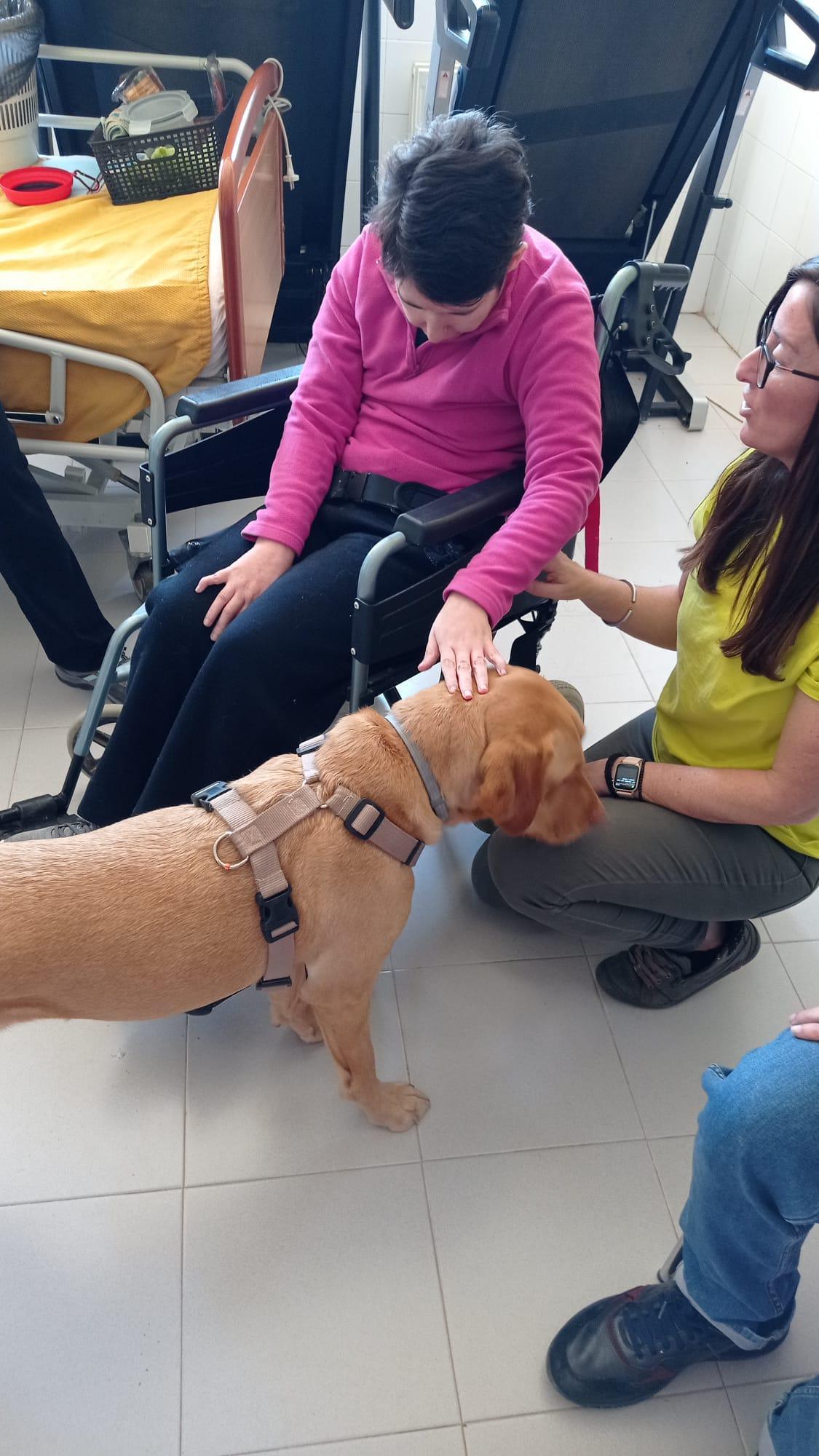 Centro de dia Aadisa Centro de dia Aadisa