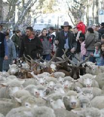 31ème Fête des Bergers et des Traditions