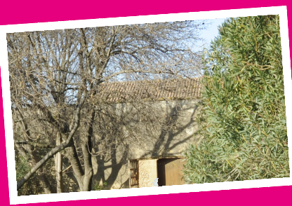 Visite du domaine de la Massuguière