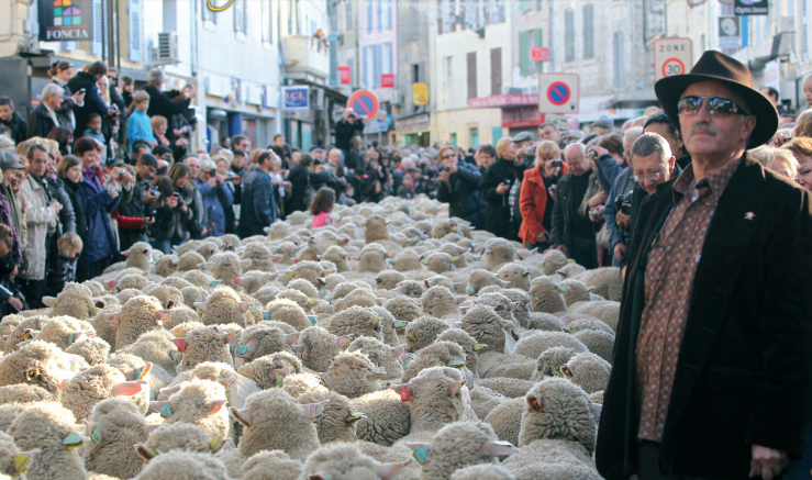 DÉFILÉ DE LA TRANSHUMANCE