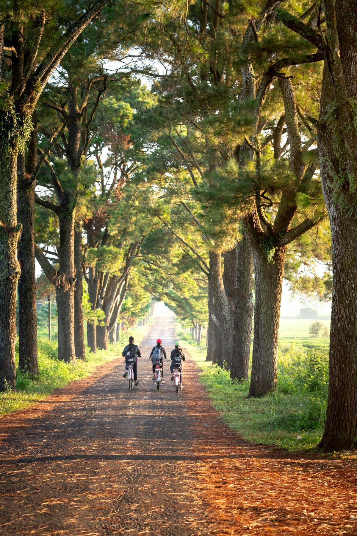 Le Mode de Vie du Disciple