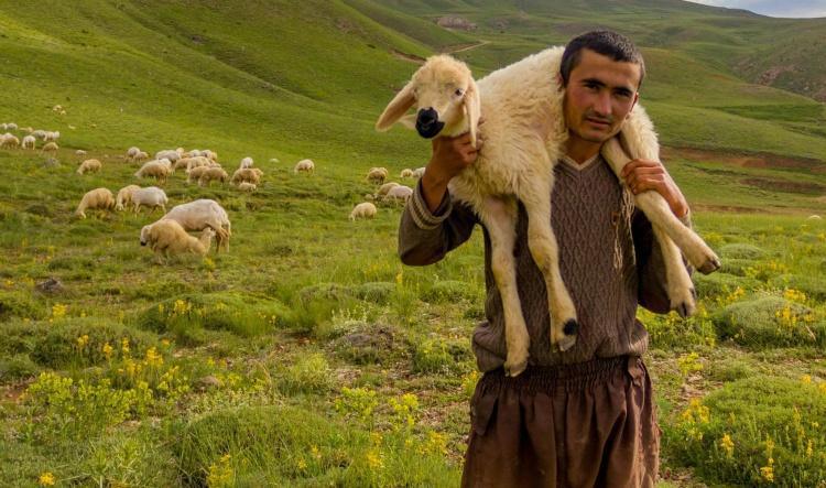 12. دفع ثمن العصيان (Payment for Disobedience)