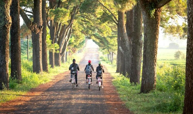 Le Mode de Vie du Disciple