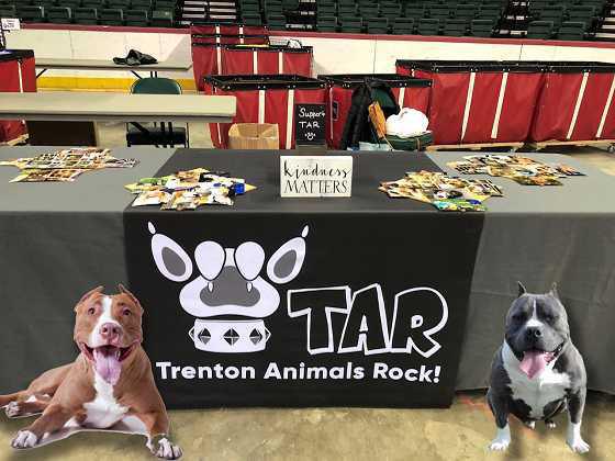 Trenton Animals Rock Trenton Animals Rock
