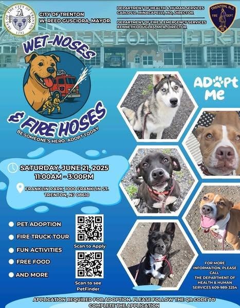 Wet Noses & Fire Hoses