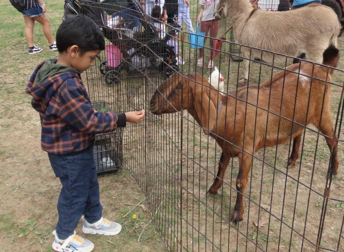 105th Annual Great Egg Hunt