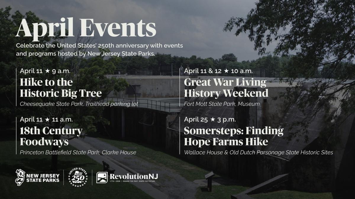 New Jersey New Jersey