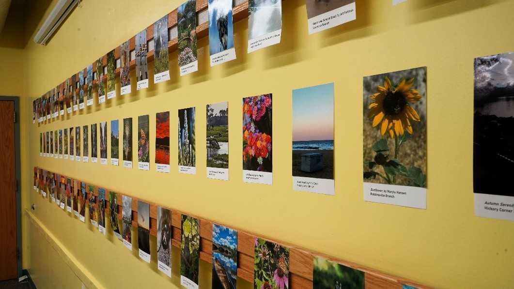 Amateur Photography Contest (Mercer County Library System)