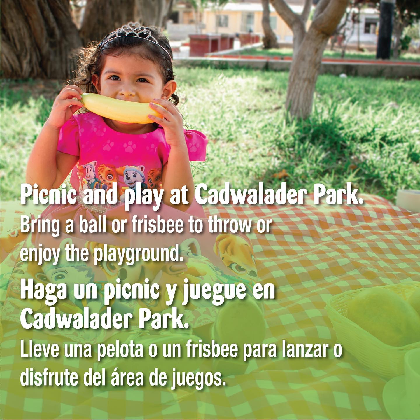 Picnic and Play at Cadwalader Park / Haga un picic y juegue en Cadwalader park