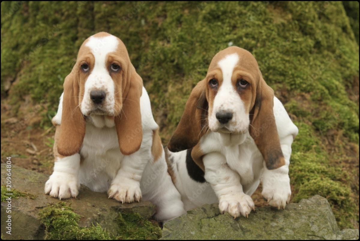 قوة التواضع المعرفي: كيف يمكن للجهل الظاهري أن يقود إلى الابتكار قوة التواضع المعرفي: كيف يمكن للجهل الظاهري أن يقود إلى الابتكار