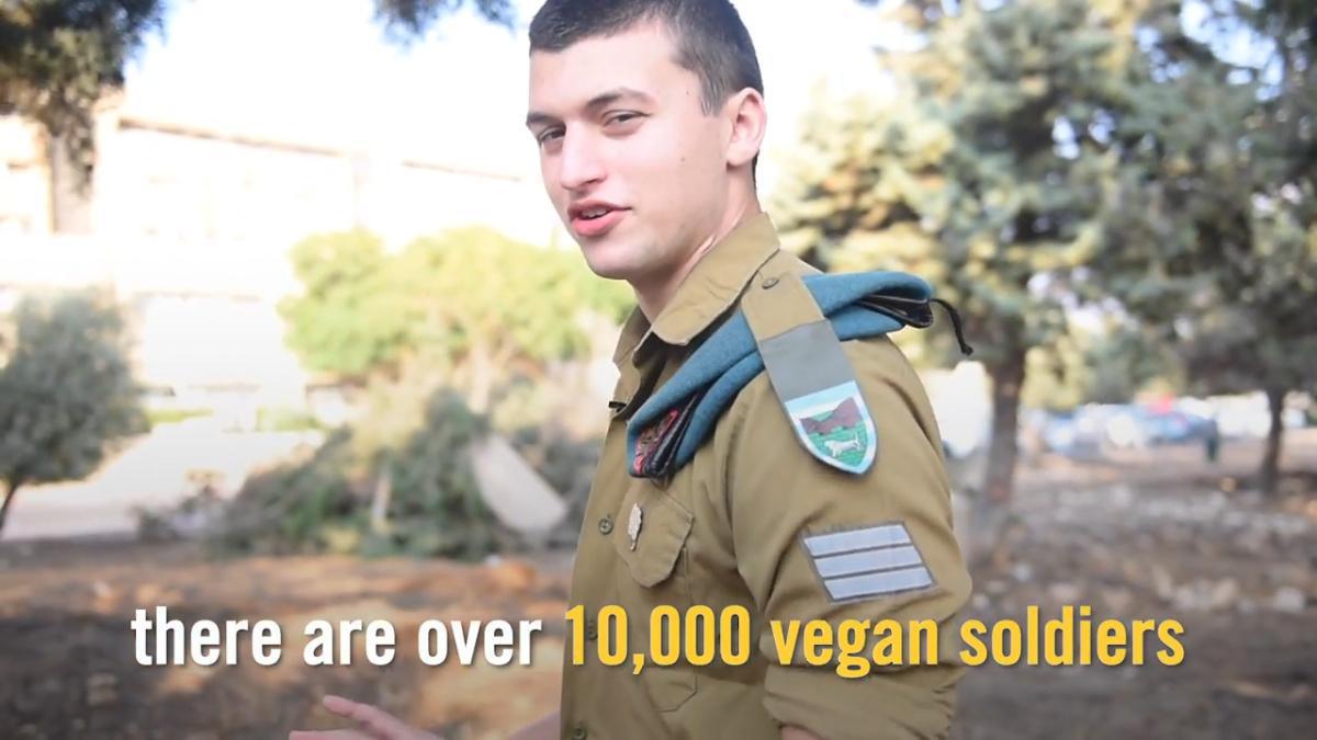 النباتية كأداة سياسية: القصة وراء الاستراتيجية الإعلامية الإسرائيلية النباتية كأداة سياسية: القصة وراء الاستراتيجية الإعلامية الإسرائيلية