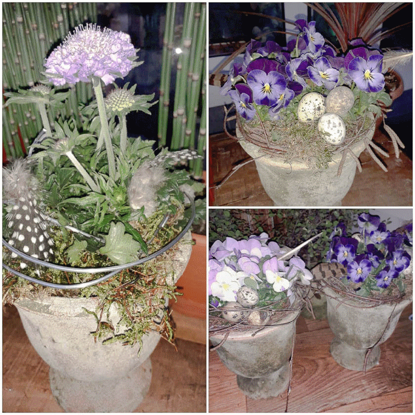 BLÜTENECHT Stephanie Eulering-Wahl BLÜTENECHT Stephanie Eulering-Wahl