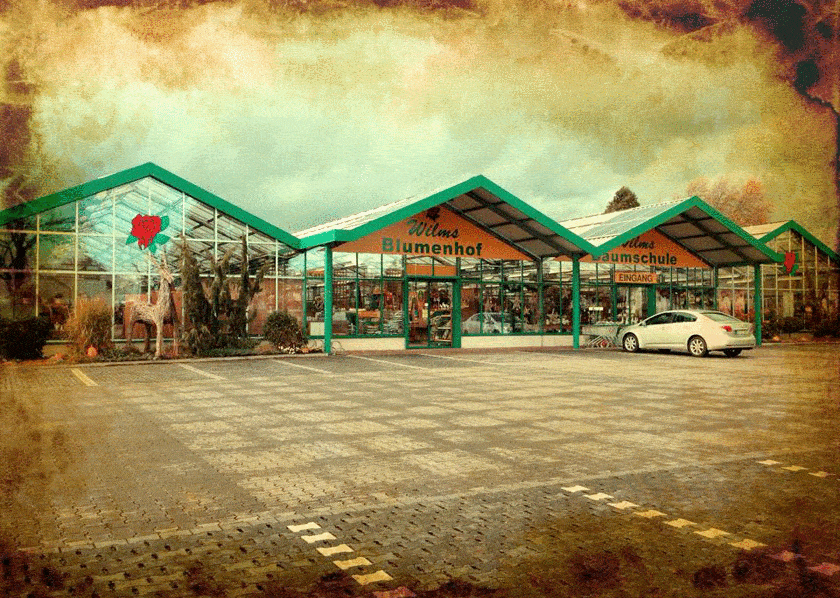 Blumenhof - Baumschule WILMS Blumenhof - Baumschule WILMS